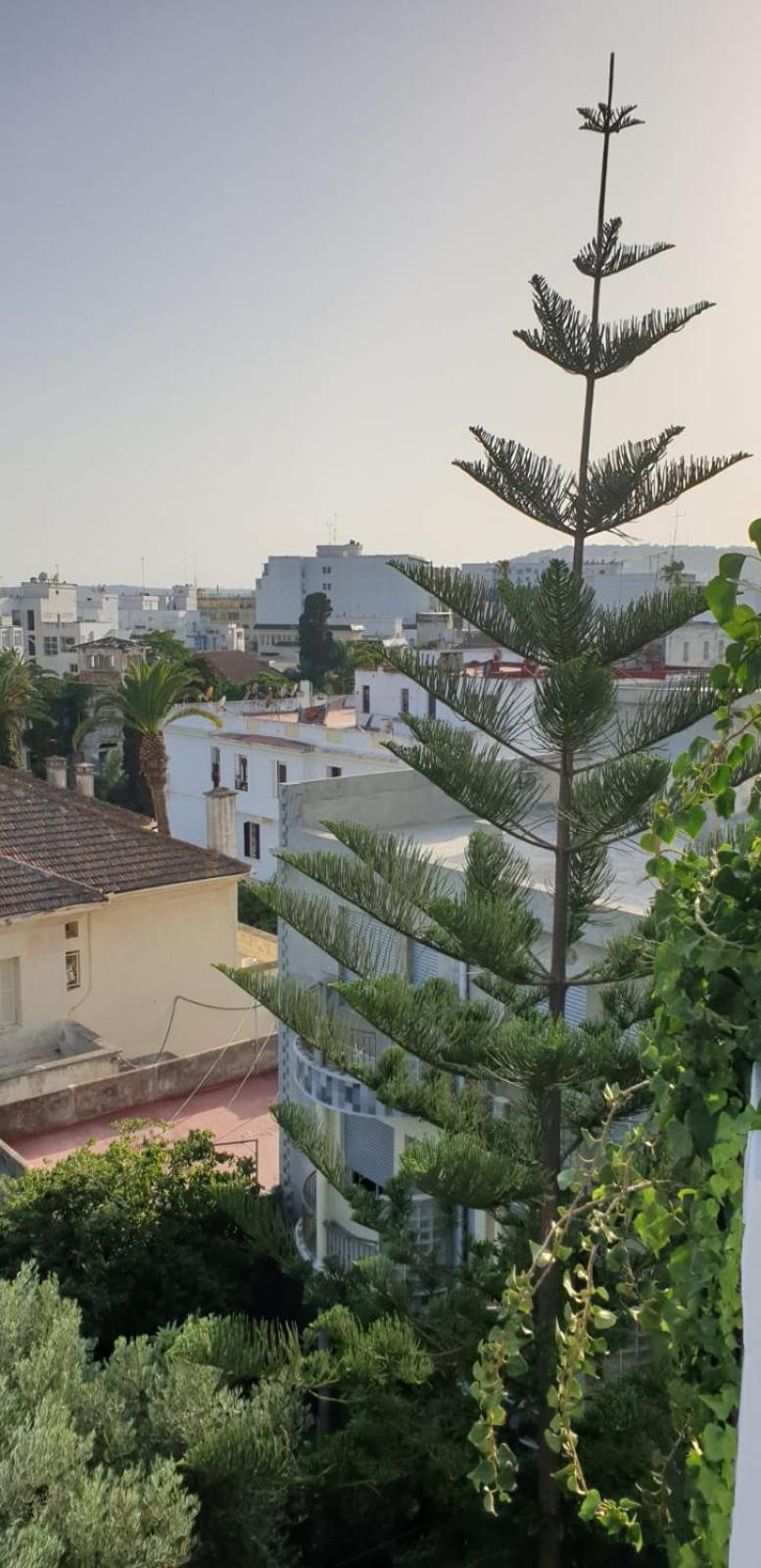 Guesthouse Kasbah Old Medina Tanger ภายนอก รูปภาพ